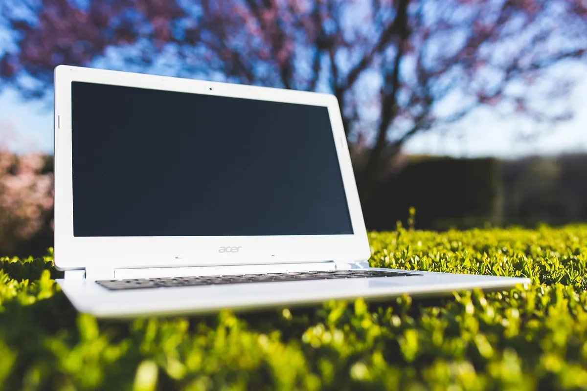 Best Free Tools to Check If Your Email Was in a Data Breach